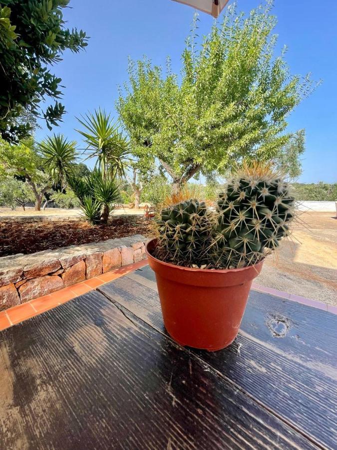 Residenza Fumarola Appartement Ostuni Buitenkant foto