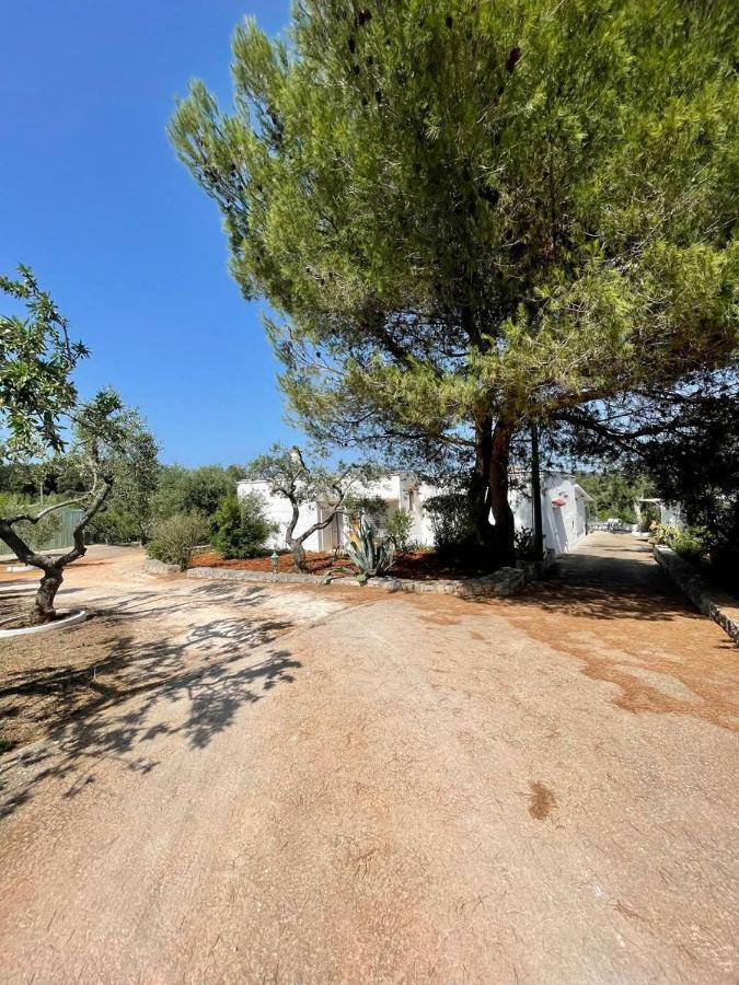 Residenza Fumarola Appartement Ostuni Buitenkant foto